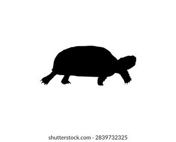 Tortoise Silhouette Isolated, can use for Icon, Symbol, Sign, Pictogram, Website, Endangered Animal Poster Illustration or Graphic Design Element. Editable. Vector