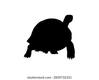 Tortoise Silhouette Isolated, can use for Icon, Symbol, Sign, Pictogram, Website, Endangered Animal Poster Illustration or Graphic Design Element. Editable. Vector