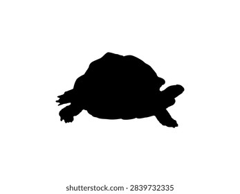 Tortoise Silhouette Isolated, can use for Icon, Symbol, Sign, Pictogram, Website, Endangered Animal Poster Illustration or Graphic Design Element. Editable. Vector