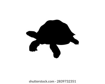 Tortoise Silhouette Isolated, can use for Icon, Symbol, Sign, Pictogram, Website, Endangered Animal Poster Illustration or Graphic Design Element. Editable. Vector