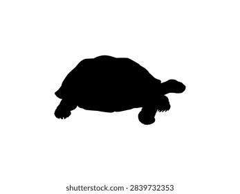 Tortoise Silhouette Isolated, can use for Icon, Symbol, Sign, Pictogram, Website, Endangered Animal Poster Illustration or Graphic Design Element. Editable. Vector