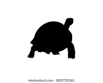 Tortoise Silhouette Isolated, can use for Icon, Symbol, Sign, Pictogram, Website, Endangered Animal Poster Illustration or Graphic Design Element. Editable. Vector