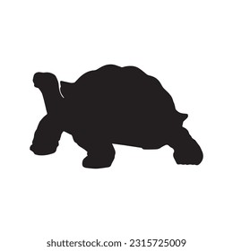 colección de conjuntos de silueta tortoise aislado negro sobre fondo blanco ilustración de vector