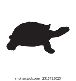 tortoise silhouette set collection isolated black on white background vector illustration