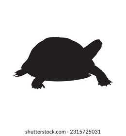 tortoise silhouette set collection isolated black on white background vector illustration