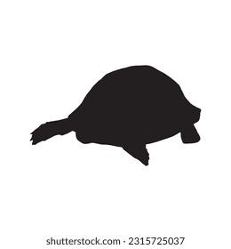 tortoise silhouette set collection isolated black on white background vector illustration