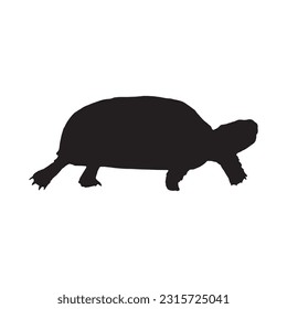 tortoise silhouette set collection isolated black on white background vector illustration