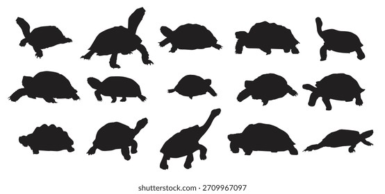 tortoise silhouette set vector illustartion