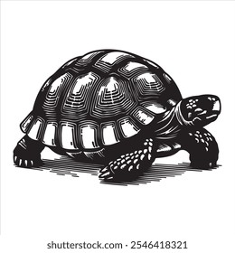 Tortoise silhouette vector art illustration. 