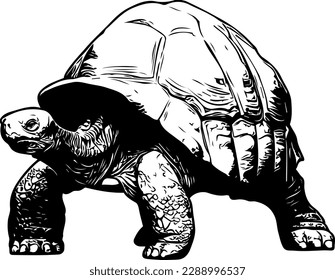 "Vector de silueta tortoise"
"Tortoise silhouette clipart""Vector de ilustración de tortuga"
"Clíparte de ilustración de tortuga"