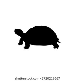 Tortoise silhouette vector flat illustration design.