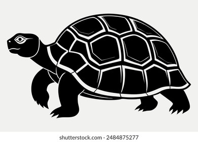 A Tortoise silhouette vector illustration