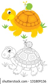 Tortoise and snail