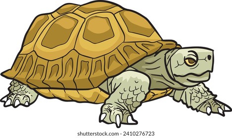 Ilustración de vectores animales salvajes de tortuga tortuga