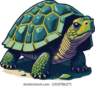 Tortoise Vector Design for all your decorating needs