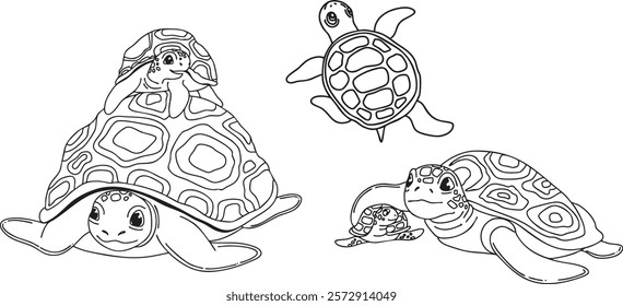 Tortoise vector outline set. Turtles illustration in different poses . It contains outlines, detailed patterns. Design for art, logos, educational, or decorative uses.