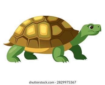 Tortoise walking with brown domed shell on white background.