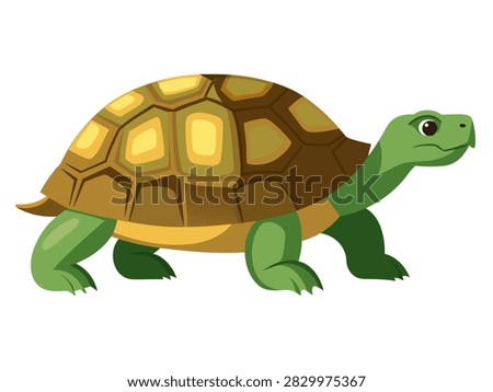 Tortoise walking with brown domed shell on white background.