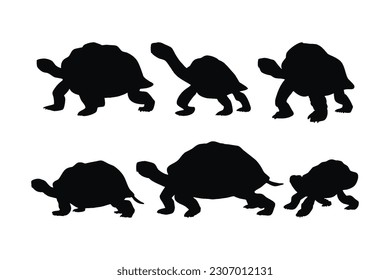 Caminando tortuga en diferentes posiciones, vector conjunto de silueta. Gran colección de siluetas de tortuga en un fondo blanco. Criaturas del mar salvaje como tortugas o tortugas, manojos de silueta de cuerpo entero.