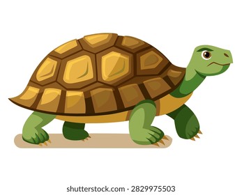 Tortoise walking with patterned shell on white background.