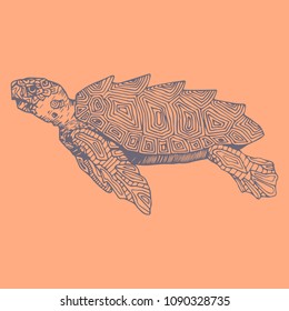 tortoiseshell in profile with fine detailing