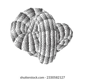 Torus with stipple gradient divided on polygons