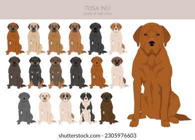 Tosa Inu clipart. Different poses, coat colors set.  Vector illustration