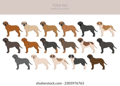 Tosa Inu clipart. Different poses, coat colors set.  Vector illustration