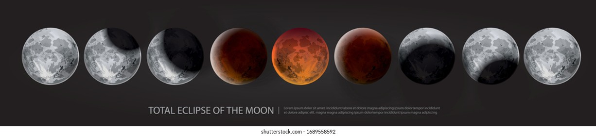 Total Eclipse of the Moon Vector illustration