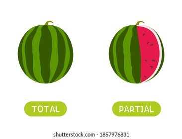 TOTAL and PARTIAL antonyms word card vector template. Flashcard for english language learning. Opposites concept. Whole watermelon, watermelon without a slice