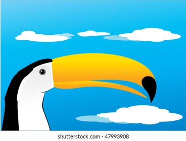 Toucan