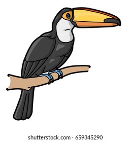 toucan