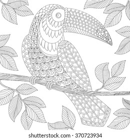 Toucan. Adult antistress coloring page. Black and white hand drawn doodle for coloring book