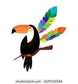 toucan animal with exotic feathers vector illustration design