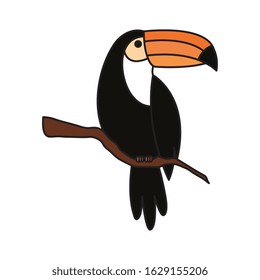 toucan animal exotic isolated icon vector illustration design