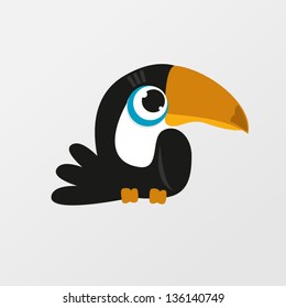 Toucan bird 