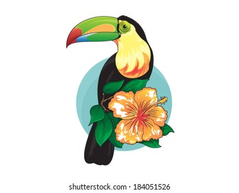 Toucan Bird