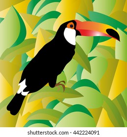 Toucan bird