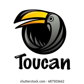Toucan bird