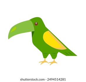 toucan bird africa exotic bird flat colorful design vector