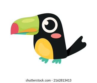 toucan bird animal fauna icon