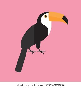 toucan bird animal jungle vector on pink background wildlife beast