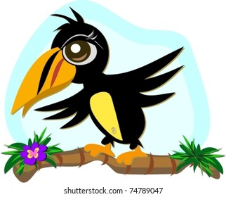 Toucan Bird in Balance