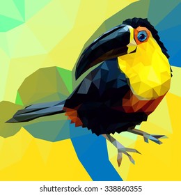 toucan bird beautiful