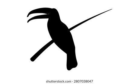 toucan bird, black isolated vector silhouette