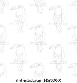 Toucan bird black outline on white background seamless pattern