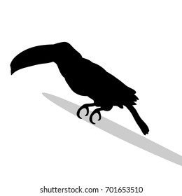 Toucan bird  black silhouette animal. Vector Illustrator.