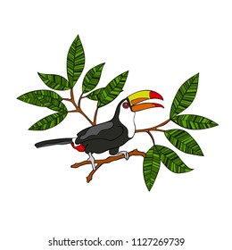 Toucan bird. Branches with leaves. Isolated vector object on white background.