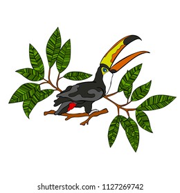 Toucan bird. Branches with leaves. Isolated vector object on white background.