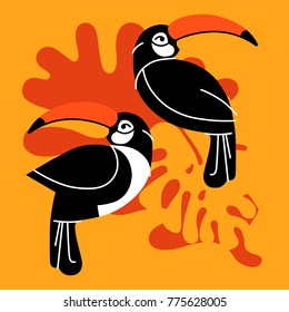 Toucan bird cartoon character